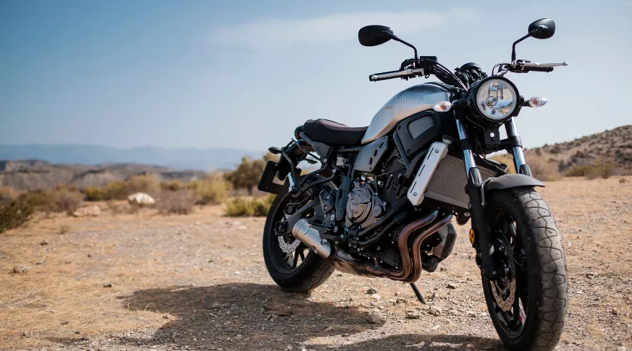  &copy;&nbsp;Фото Francisco Requena с сайта Unsplash.com