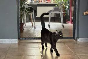  &copy;&nbsp;Фото Марии Журавлевой, Юга.ру