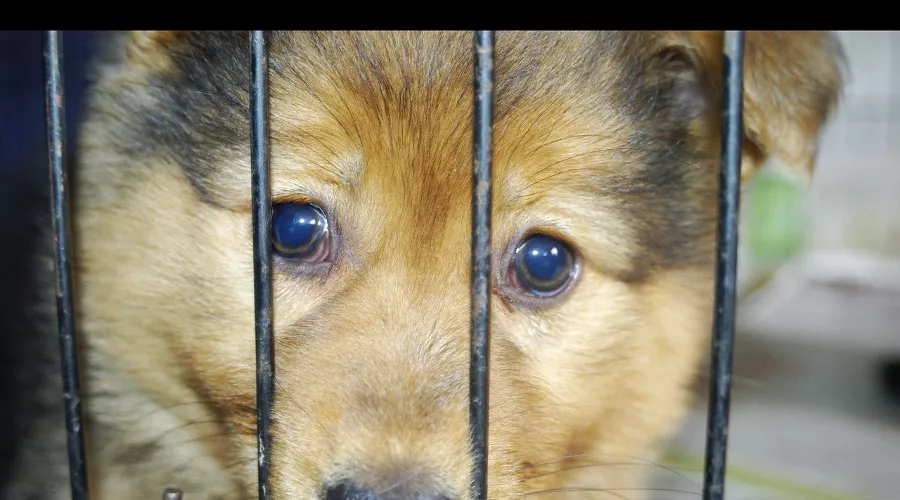  &copy;&nbsp;Фото Марии Строителевой, Юга.ру