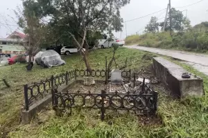  &copy;&nbsp;Скриншот фото из телеграм-канала &laquo;Мэр Сочи Андрей Прошунин&raquo;