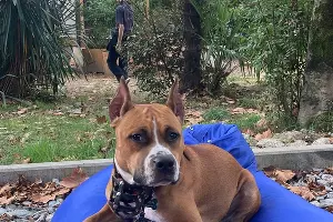  &copy;&nbsp;Фото Дианы Овелян