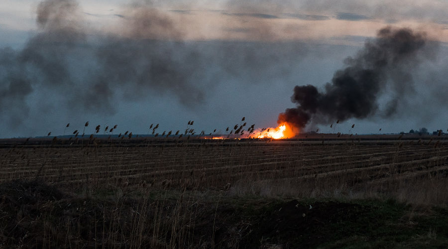  © Фото Елены Синеок, Юга.ру