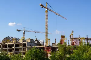  &copy;&nbsp;Фото driashkin, freepik.com