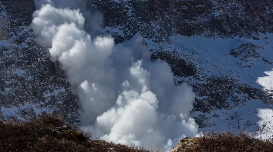  &copy;&nbsp;Фото Galyna_Andrushko, freepik.com