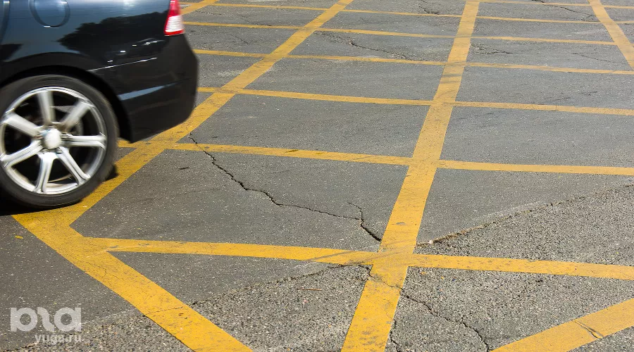  &copy;&nbsp;Фото Елены Синеок, Юга.ру