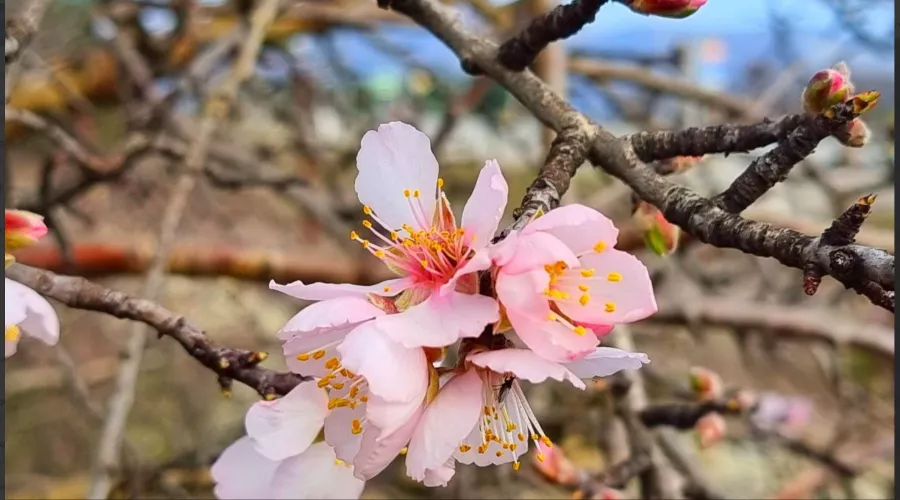  &copy;&nbsp;Скриншот из телеграм-канала &laquo;Жизнь на море — Новороссийск/ Геленджик/ Анапа &raquo; https://t.me/gelendgik/27876