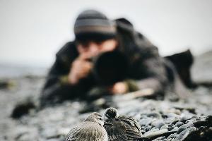  © facebook.com/alexshkolny