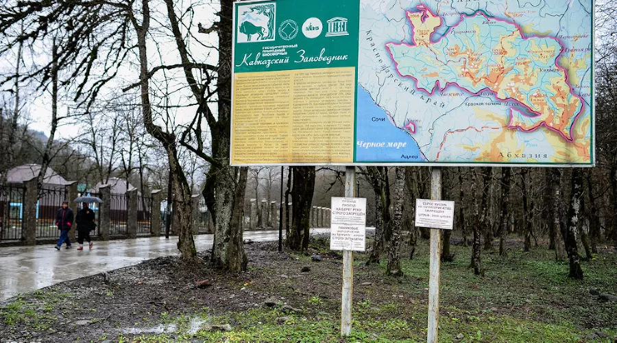 Экологическая акция "Билайна" в Кавказском биосферном заповеднике &copy;&nbsp;Нина Зотина, ЮГА.ру