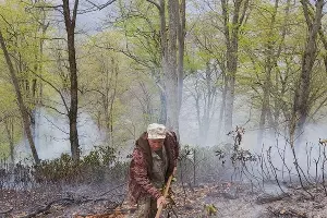  &copy;&nbsp;Фото пресс-службы Сочинского национального парка