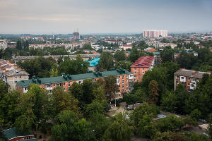 © Фото Елены Синеок, Юга.ру