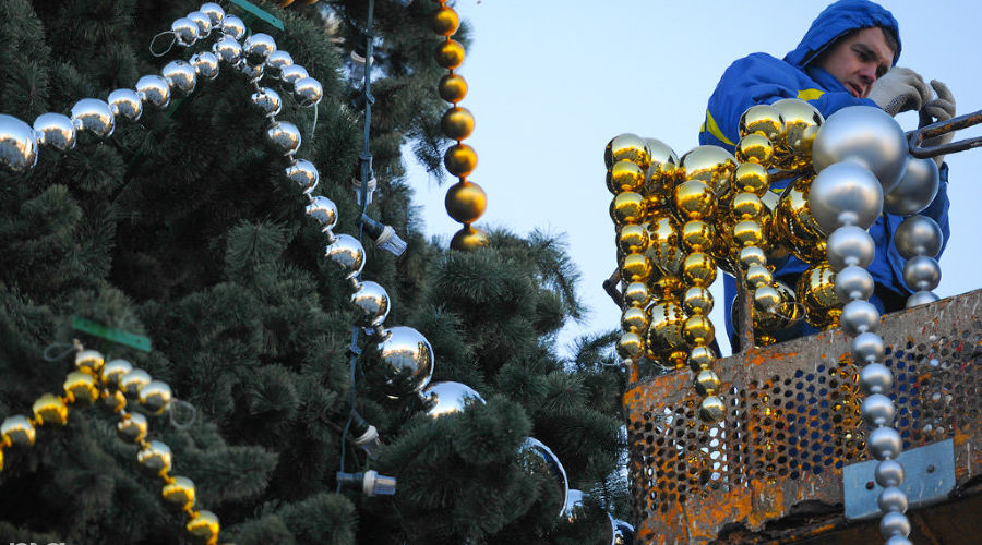 Установка главной елки Краснодара на Театральной площади © Елена Синеок, ЮГА.ру