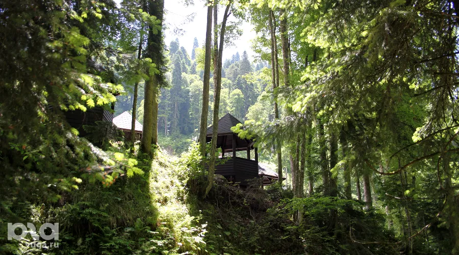  &copy;&nbsp;Фото Марины Солошко, Юга.ру