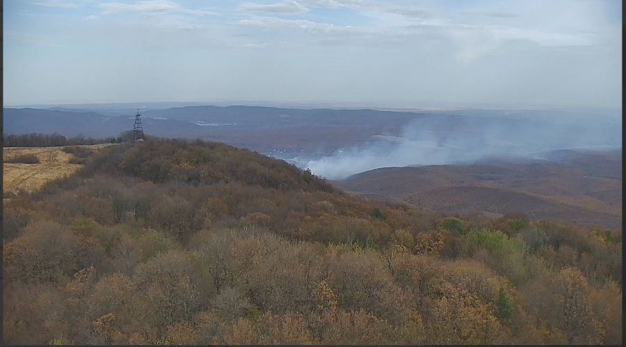  © Скриншот из телеграм-канала Минприроды Краснодарского края https://t.me/mpr_kk/1101