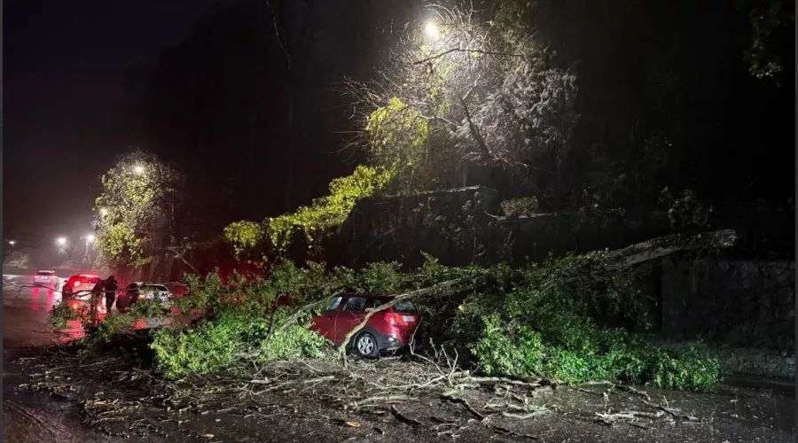  &copy;&nbsp;Скриншот из телеграм-канала &laquo;Погода в Сочи&raquo; https://t.me/sochi_pogoda23/2083