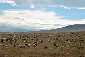  &copy;&nbsp;Фото Анны Петровой, Юга.ру