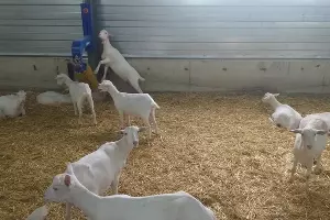  &copy;&nbsp;Фото Юлии Барановой, Юга.ру