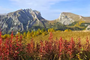  &copy;&nbsp;Фото Сергея Трепета, предоставлено пресс-службой ФГБУ &laquo;Кавказский биосферный заповедник&raquo;