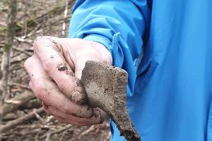  © Фото из аккаунта Рустема Ципинова, www.instagram.com/rustemtsipinov