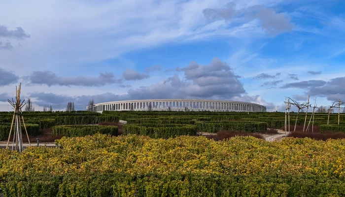 Поляны крокусов, кусты барбариса и настоящий шалфей