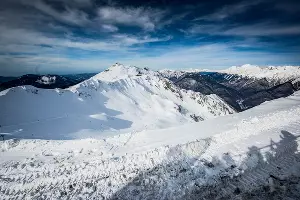  &copy;&nbsp;Фото Елены Синеок, Юга.ру