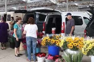 Цветочная ярмарка в Краснодаре &copy;&nbsp;Фото пресс-службы администрации Краснодара