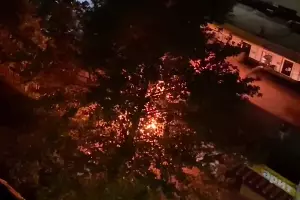  &copy;&nbsp;Скриншот видео из телеграм-канала t.me/typodar/