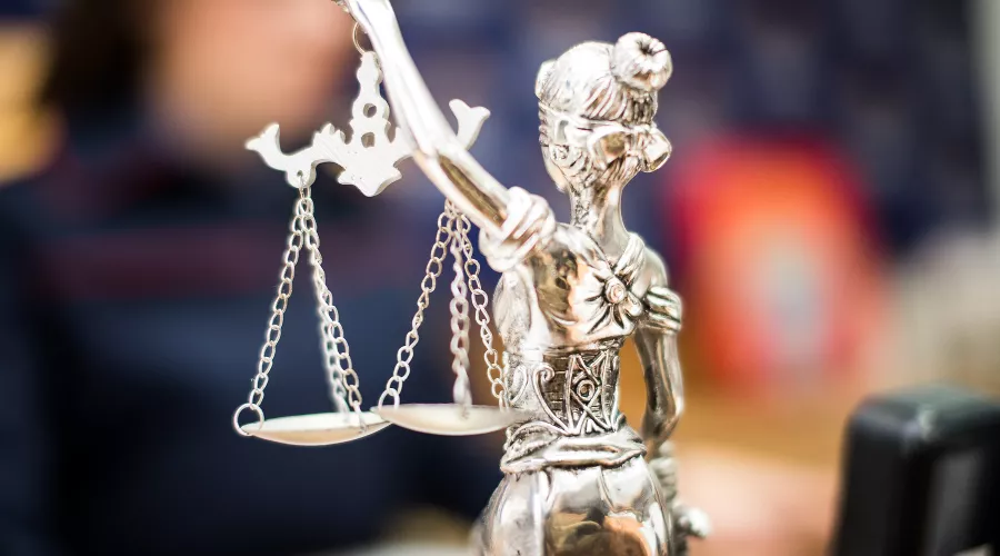  &copy;&nbsp;Фото Елены Синеок, Юга.ру