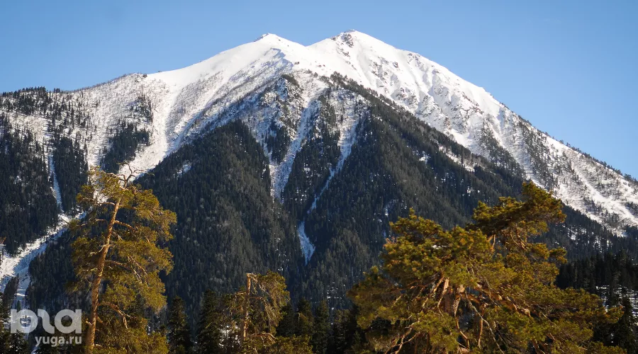  &copy;&nbsp;Фото Елены Синеок, Юга.ру