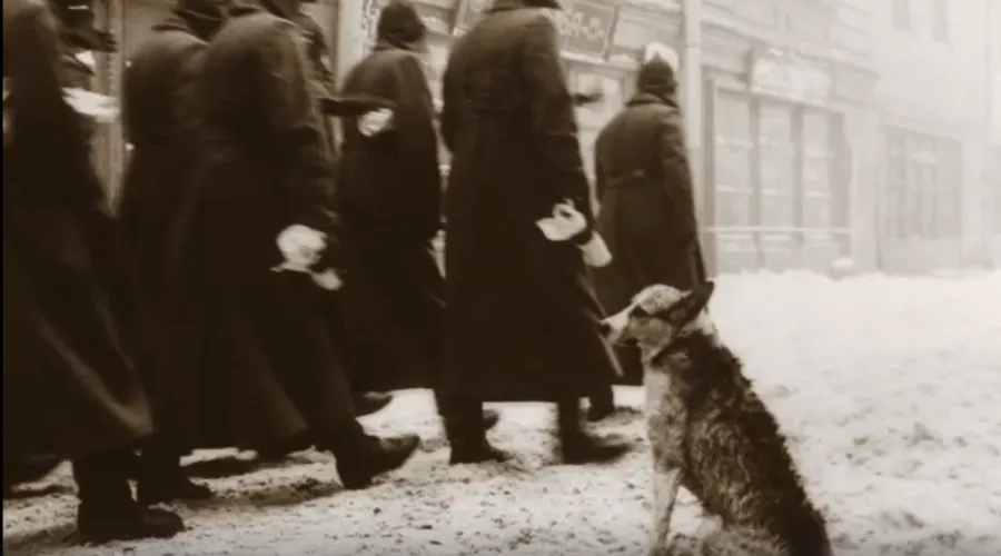 Кадр из фильма «Собачье сердце» &copy;&nbsp;Скриншот видео с Rutube-канала &laquo;Фильмач — фильмы и сериалы онлайн&raquo;