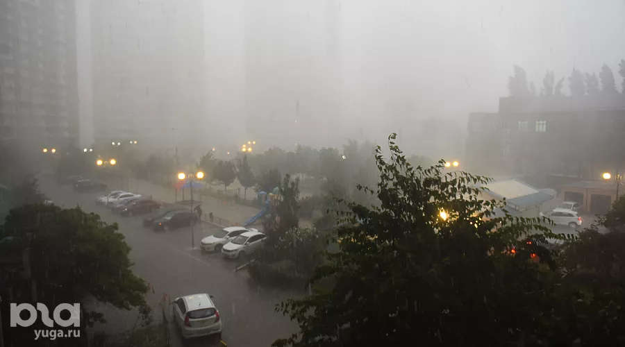  &copy;&nbsp;Фото Елены Синеок, Юга.ру