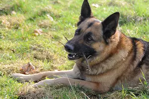  &copy;&nbsp;Фото с сайта pixabay.com