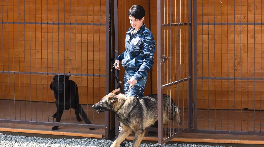  &copy;&nbsp;Фото Елены Синеок, Юга.ру