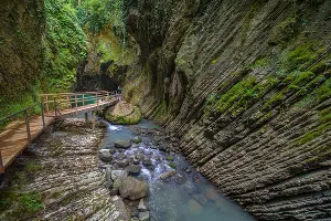 Свирское ущелье &copy;&nbsp;Скриншот фото с сайта Сочинского национального парка