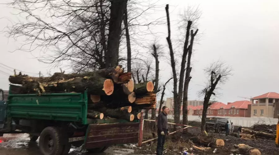  &copy;&nbsp;Фото со страницы &laquo;Помоги городу&raquo; в фейсбуке, facebook.com/groups/helpcity