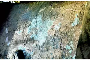  &copy;&nbsp;Скриншот с сайта ТАСС nauka.tass.ru, фото Андрея Кизилова