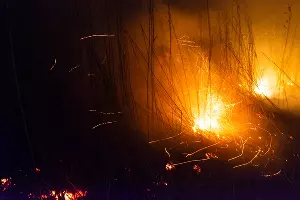  &copy;&nbsp;Фото Каси Кульковой