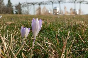  &copy;&nbsp;фото Андрея Малёваного