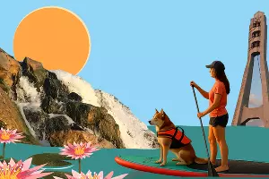  &copy;&nbsp;Коллаж Дмитрия Пославского, Юга.ру