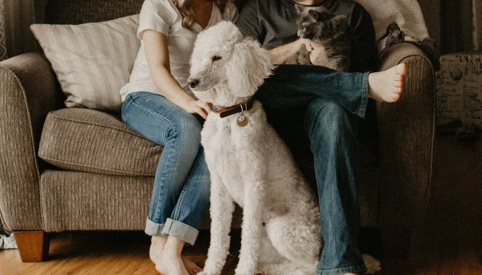  &copy;&nbsp;Фото Sarandy Westfall, unsplash.com