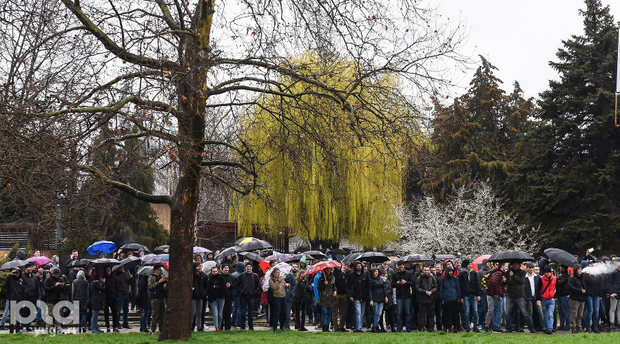  © Фото Елены Синеок, Юга.ру