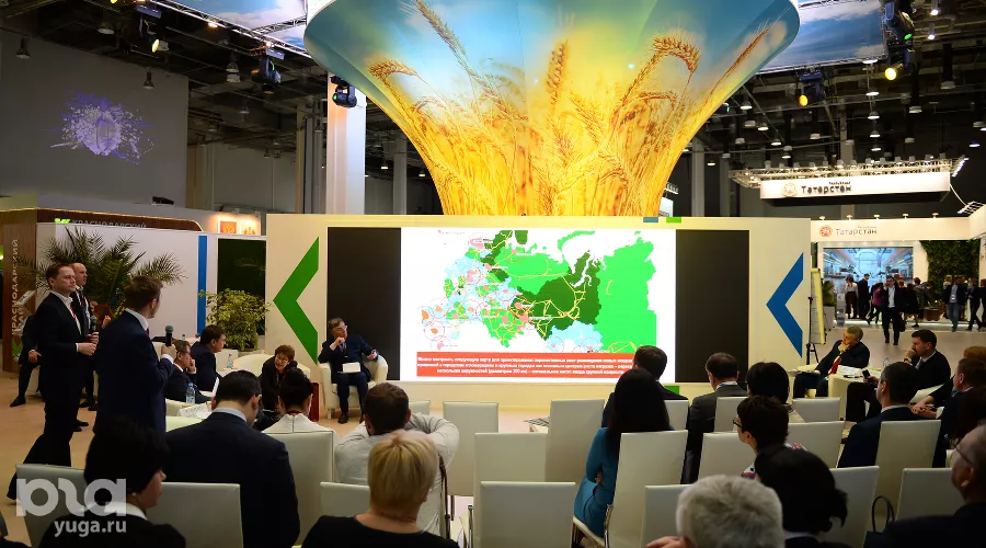  &copy;&nbsp;Фото Никиты Быкова, Юга.ру