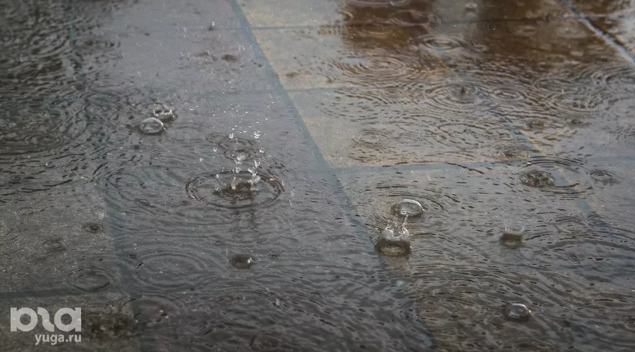  &copy;&nbsp;Фото Елены Синеок, Юга.ру