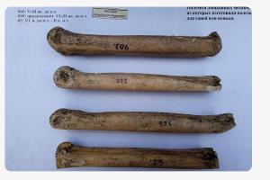  &copy;&nbsp;Скриншот сайта tass.ru