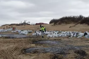  &copy;&nbsp;Фото Полины Безверхой, Юга.ру