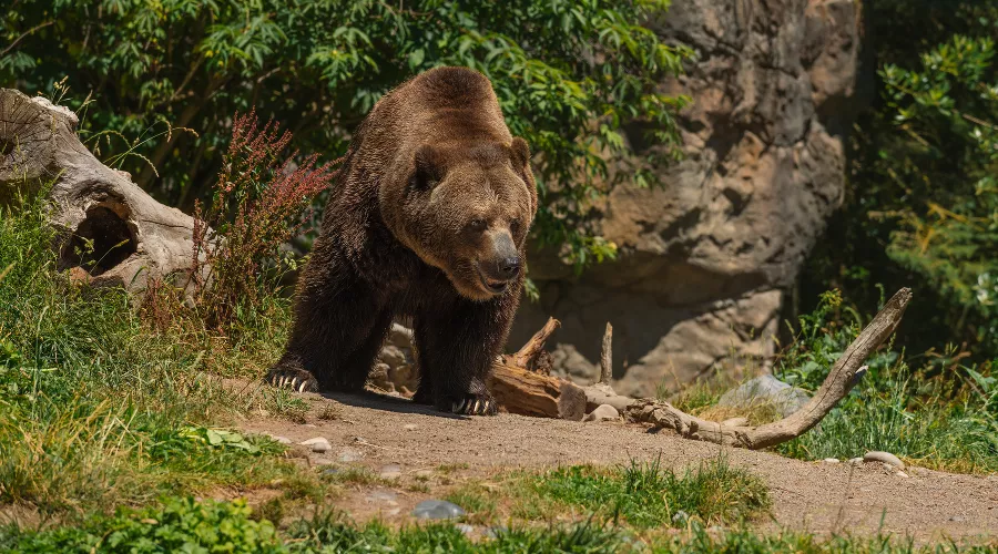  &copy;&nbsp;фото wirestock, сайт freepik.com