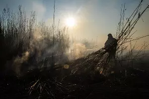  &copy;&nbsp;Фото Каси Кульковой
