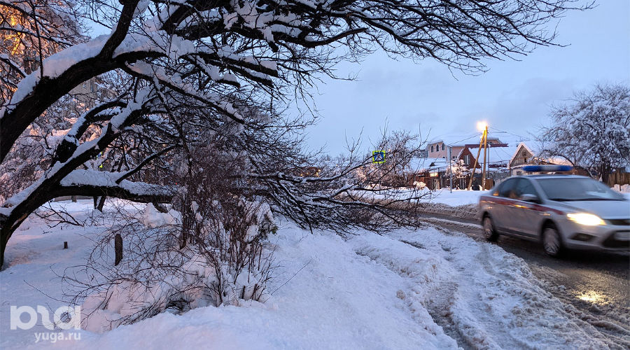 Зима в Краснодаре &copy;&nbsp;Фото Александры Прохоренковой-Аксеновой, Юга.ру