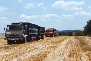  &copy;&nbsp;Фото Амины Ибрагимовой, Юга.ру