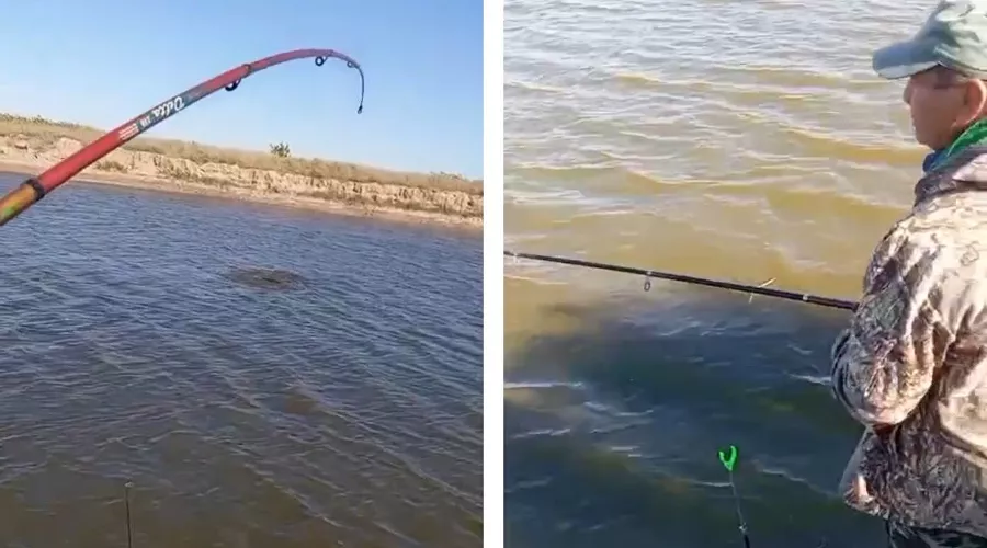  &copy;&nbsp;Коллаж из скриншотов видео из телеграм-канала &laquo;Дельфа&raquo;