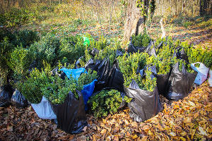  © Фото пресс-службы главы Республики Адыгея